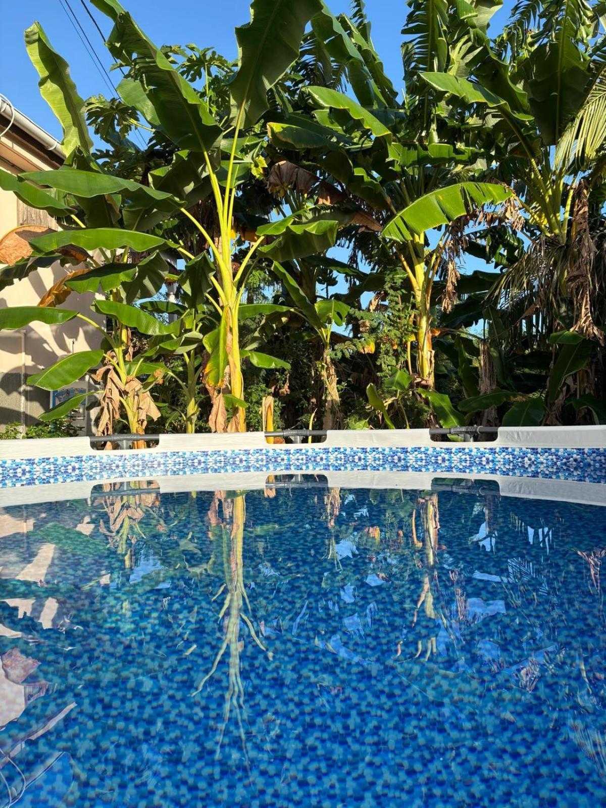 La Jemeli Hotel Grand-Bourg  Ngoại thất bức ảnh